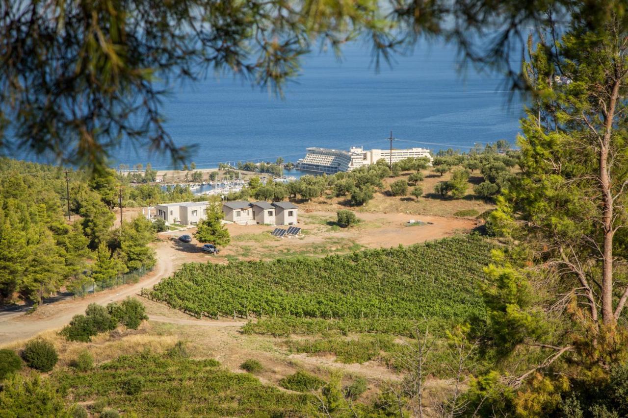 Alikon Adult-Only Aparthotel Νέος Μαρμαράς Εξωτερικό φωτογραφία