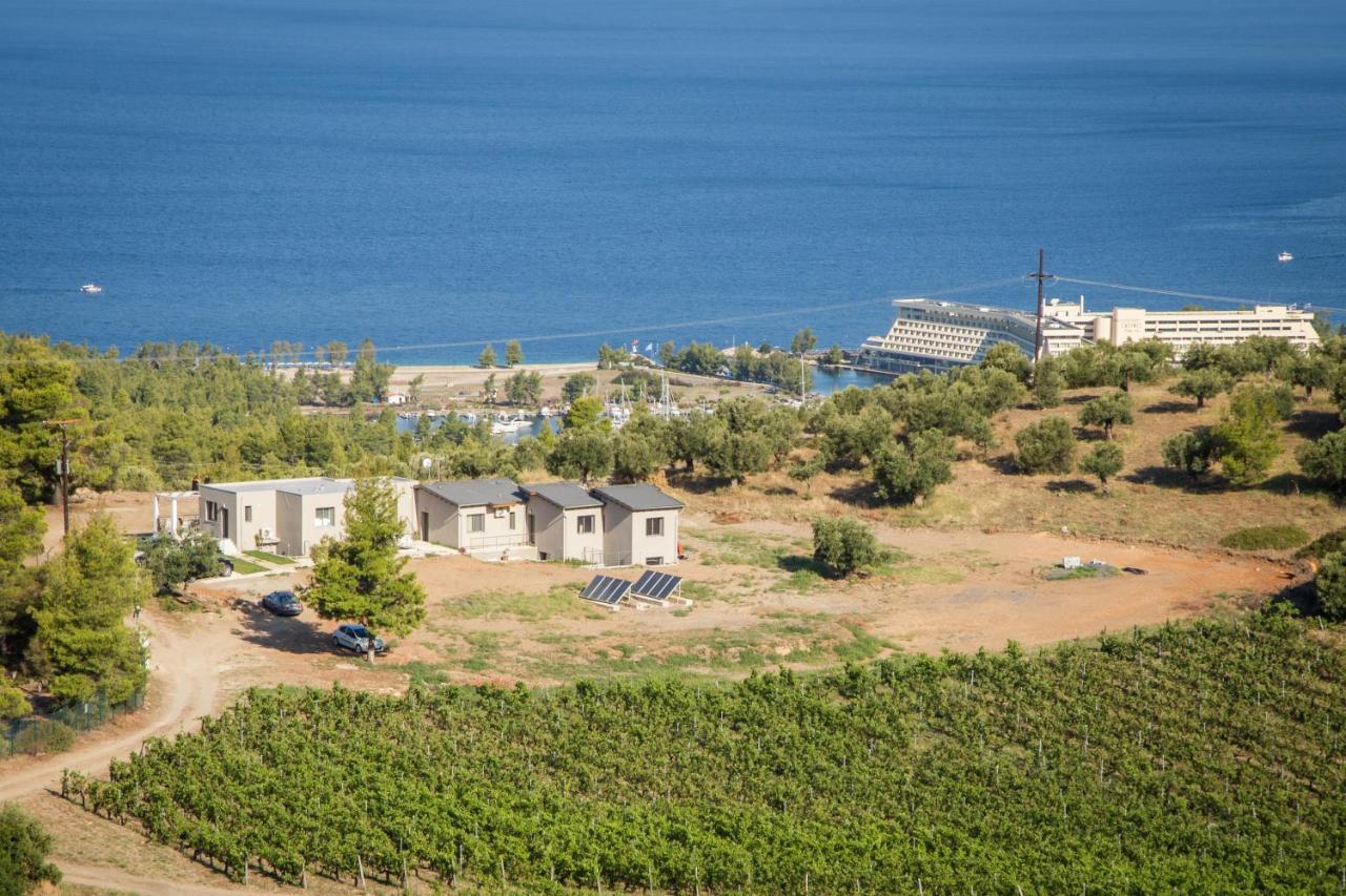 Alikon Adult-Only Aparthotel Νέος Μαρμαράς Εξωτερικό φωτογραφία