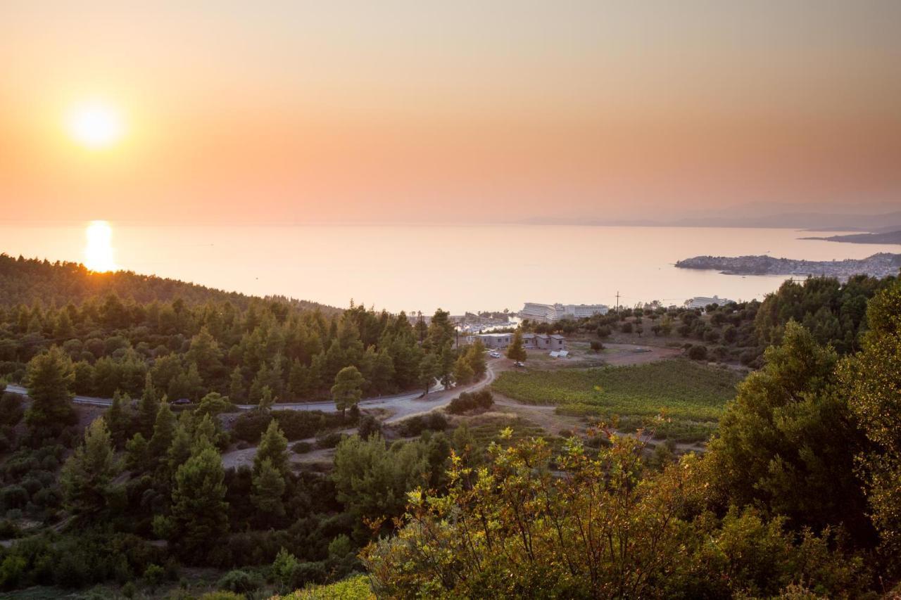 Alikon Adult-Only Aparthotel Νέος Μαρμαράς Εξωτερικό φωτογραφία